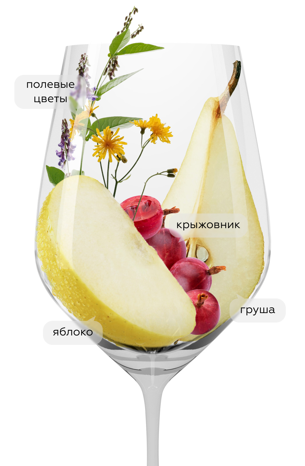 Вино Ballet Blanc Красная Горка, Галицкий и Галицкий, 2022, 1.5л, (151964), Россия, Кубань, белое, сухое, 1.5 л, Балет Блан Красная Горка, цена 10190 рублей