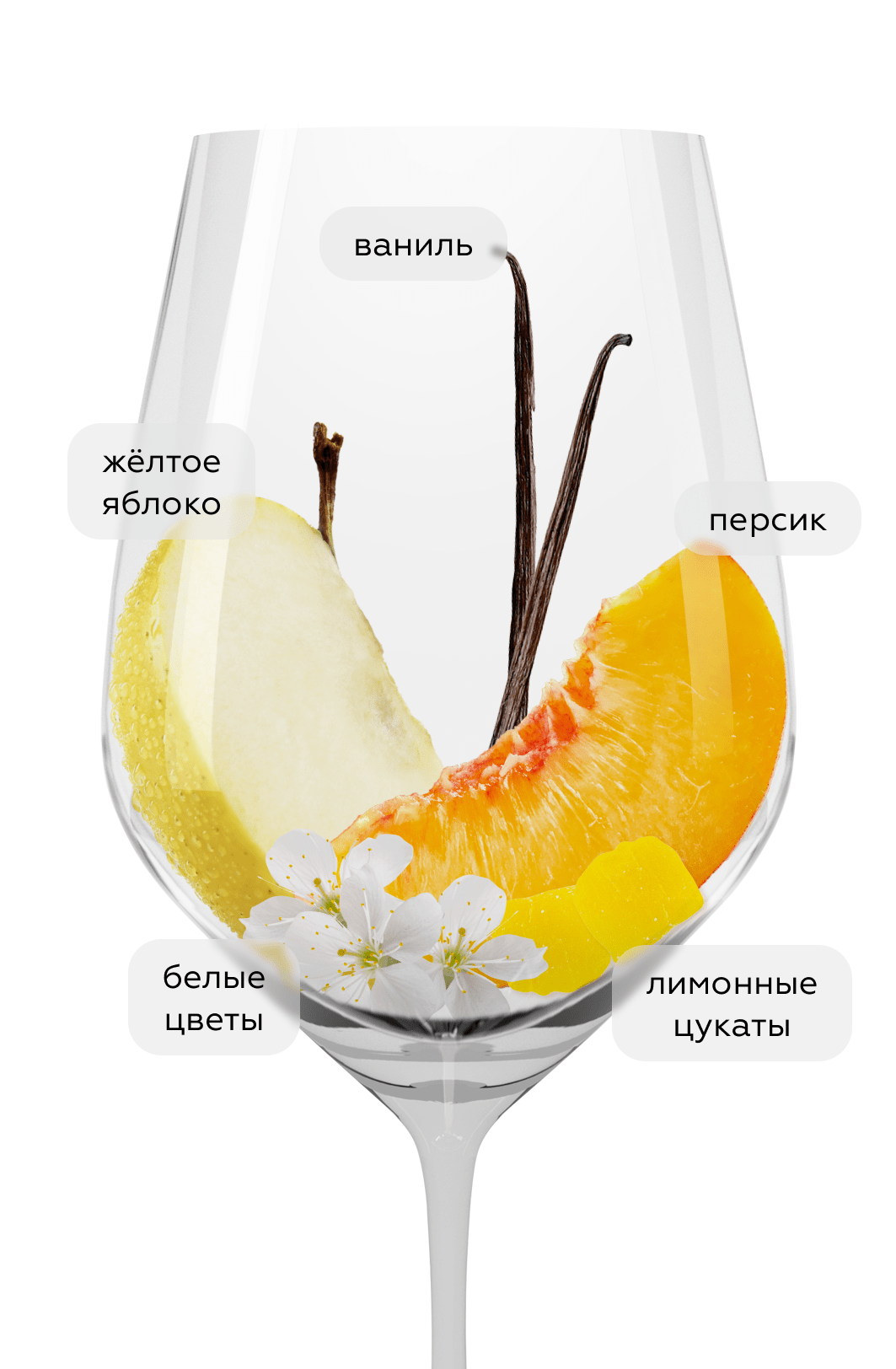 Вино Bourgogne Chardonnay, Patriarche, 2023, (152958), Франция, Бургундия, белое, сухое, 0.75 л, Бургонь Шардоне, цена 4990 рублей