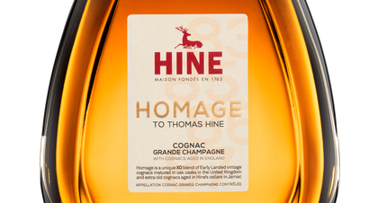 Коньяк Homage Grande Champagne, (142824), Франция, 0.7 л, Омаж Гранд Шампань цена 24990 рублей