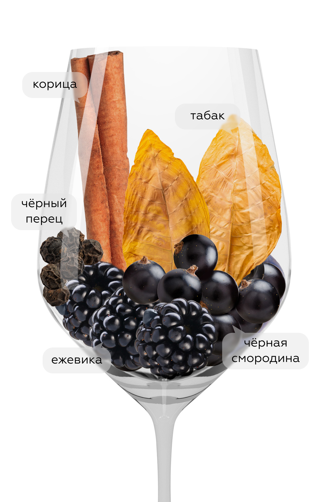 Вино Sassi Chiusi, Bertinga, 2019, (149030), Италия, Тоскана, красное, сухое, 0.75 л, Сасси Кьюзи, цена 6990 рублей