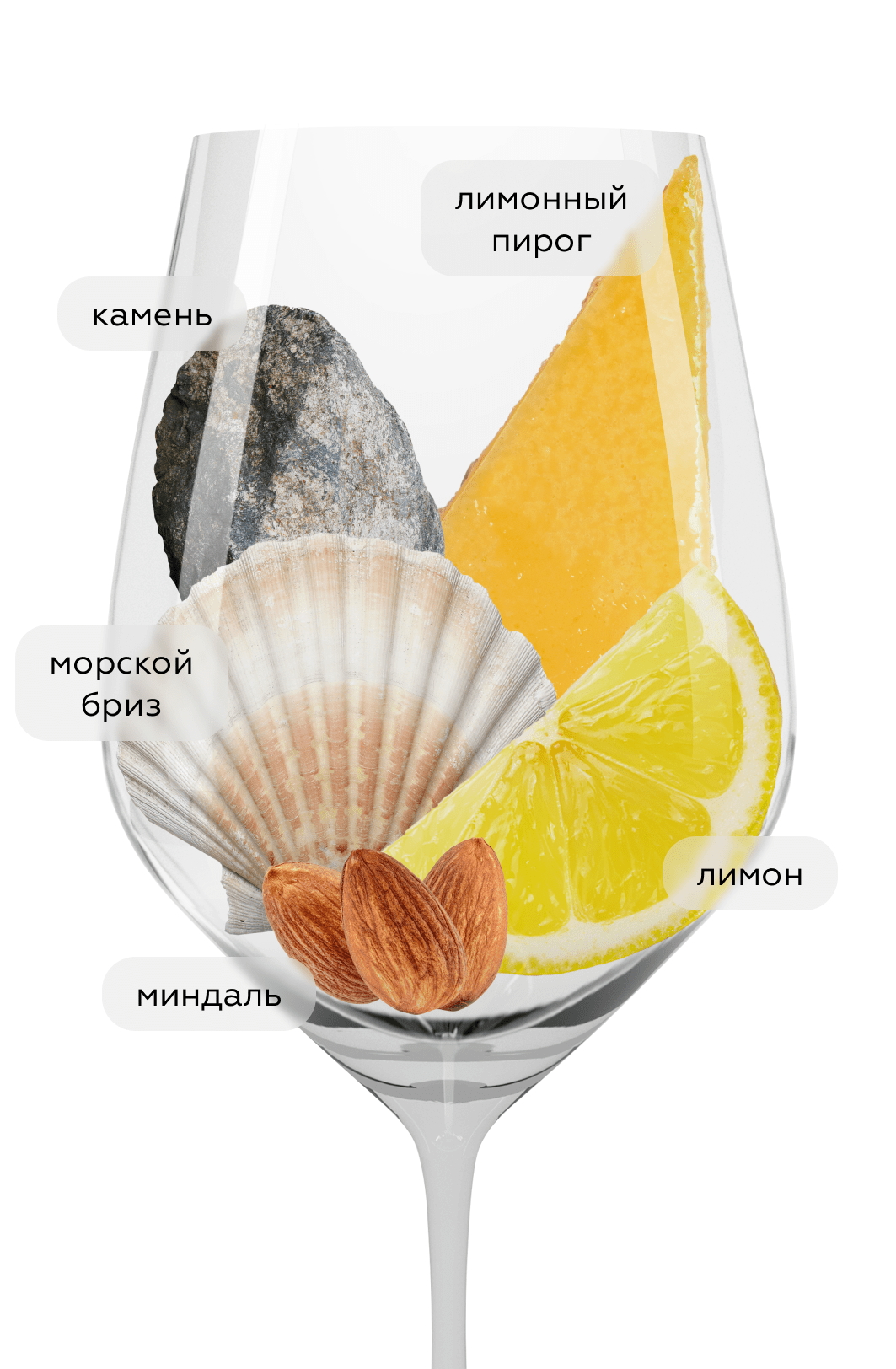 Вино Chablis Premier Cru Montmains, Jean-Marc Brocard (Domaine Sainte-Claire), 2023, (153902), Франция, Бургундия, белое, сухое, 0.75 л, Шабли Премье Крю Монмэн, цена 9990 рублей