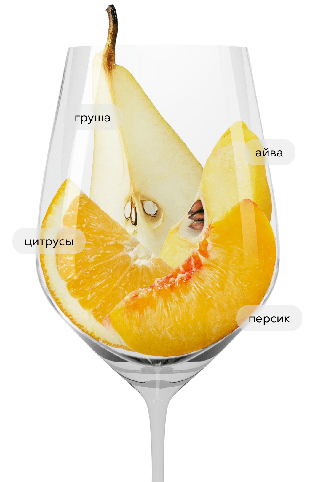 Вино Chardonnay, Vina Arboleda, 2021, (138934), Чили, Аконкагуа, белое, сухое, 0.75 л, Шардоне, цена 4490 рублей