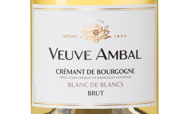 Игристое вино Blanc de Blanc Brut, (140843), белое брют, 0.75 л, Блан де Блан Брют цена 3640 рублей