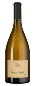 Pinot Grigio