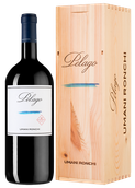 Вино 2016 года урожая Pelago в подарочной упаковке