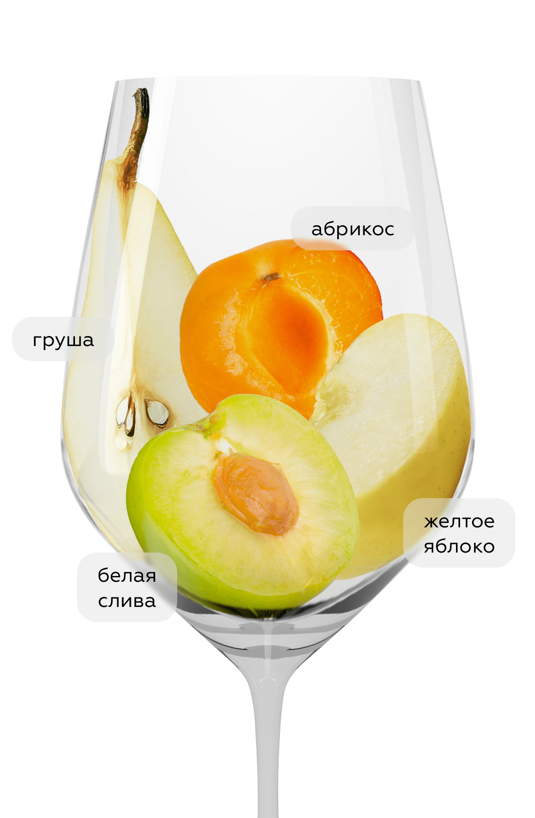 Вино Riesling Loibner Federspiel, Emmerich Knoll, 2023, (149077), Австрия, Нижняя Австрия, белое, сухое, 0.75 л, Рислинг Лойбнер Федершпиль, цена 8990 рублей