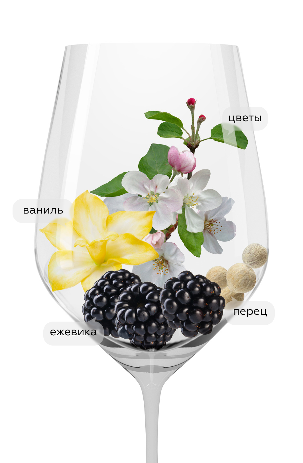 Вино Il Bruno dei Vespa, 2021, (137185), Италия, Апулия, красное, полусухое, 0.75 л, Иль Бруно дей Веспа, цена 3490 рублей