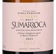 Шампанское и игристое вино к морепродуктам Sumarroca Brut Rose