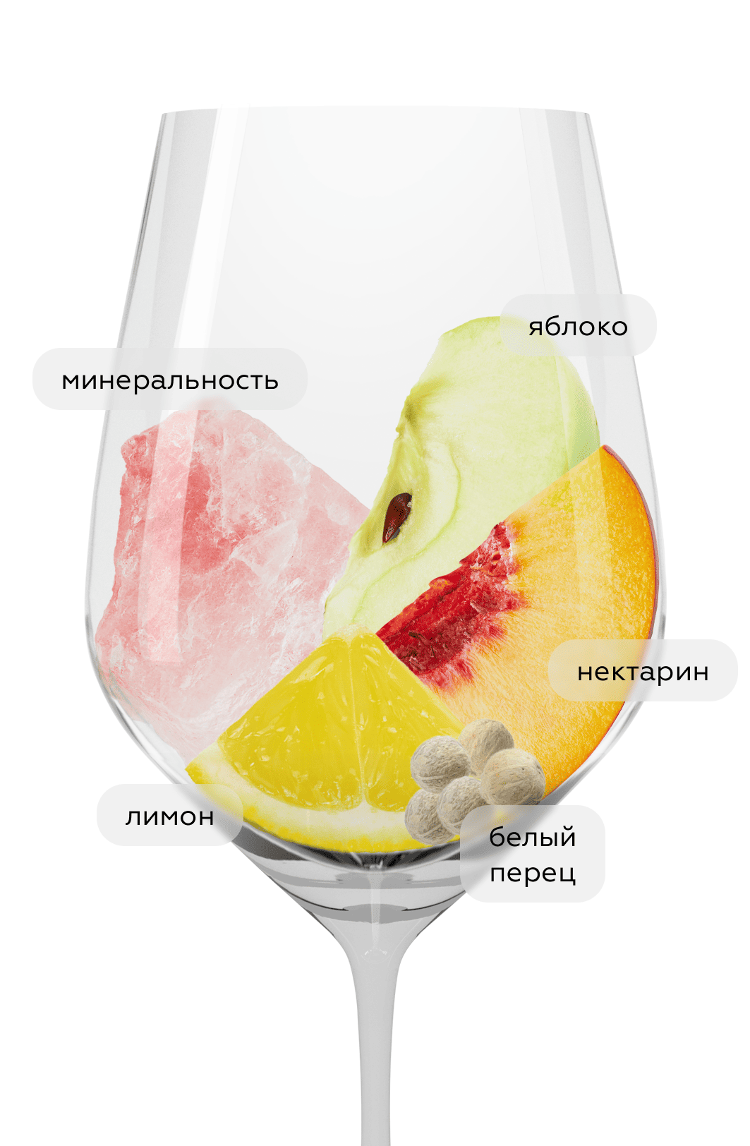 Вино Muscadet Theia, Domaine Bretaudeau, 2023, (148648), Франция, Долина Луары, белое, сухое, 0.75 л, Мюскаде Тейя, цена 8190 рублей