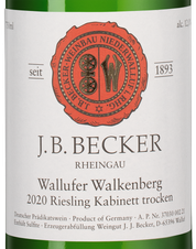 Вино Wallufer Walkenberg Riesling Kabinett, (141899), белое полусухое, 2020 г., 0.75 л, Валлуфер Валькенберг Рислинг Кабинет цена 4990 рублей