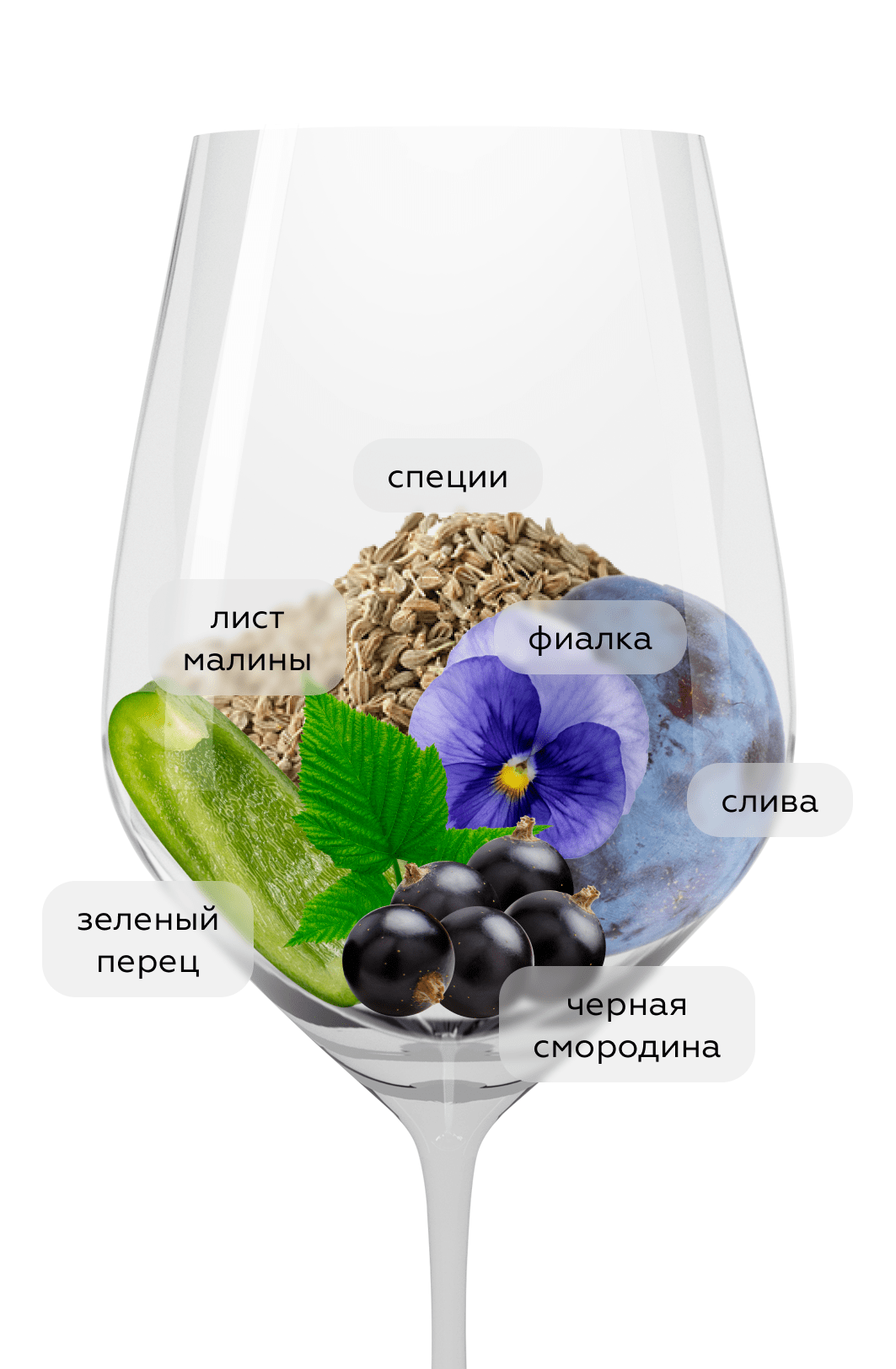 Вино Южная Вертикаль Каберне Фран, Chateau de Talu, 2022, (148917), Россия, Кубань, красное, сухое, 0.75 л, Южная Вертикаль Каберне Фран, цена 1240 рублей