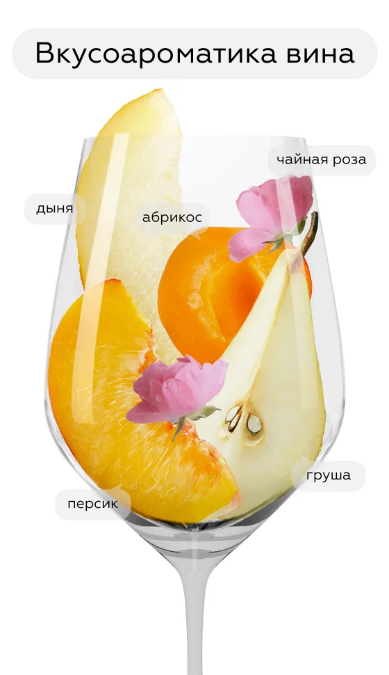 Вино Pfefferer, Colterenzio, 2023, (145164), Италия, Трентино-Альто Адидже, белое, полусухое, 0.75 л, Пфефферер, цена 1912 рублей