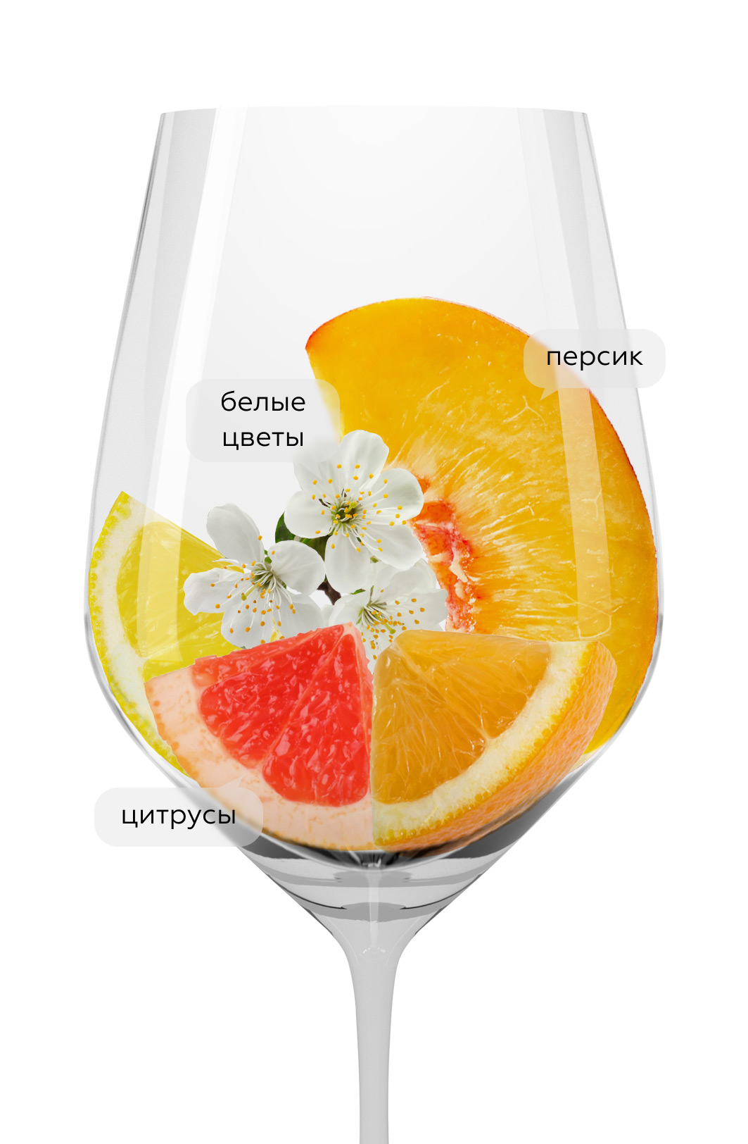 Вино Рислинг Семейный Резерв, Сикоры, 2021, (154258), Россия, Кубань, белое, сухое, 0.75 л, Рислинг Семейный Резерв, цена 5790 рублей