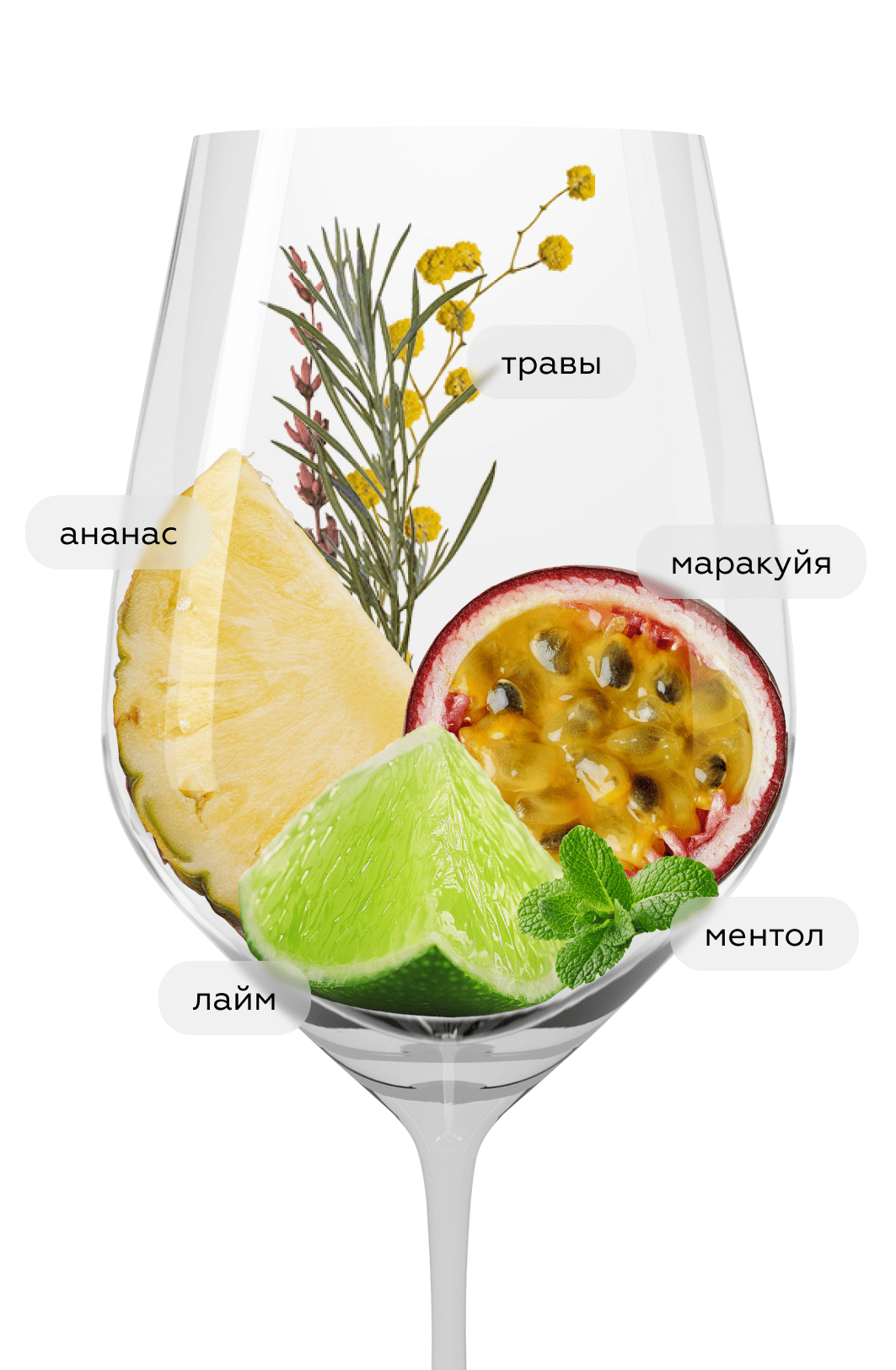 Вино Sauvignon Blanc Lands and Legends, Matua, 2024, (156112), Новая Зеландия, Мальборо, белое, сухое, 0.75 л, Совиньон Блан Лэндс энд Леджендс, цена 4490 рублей