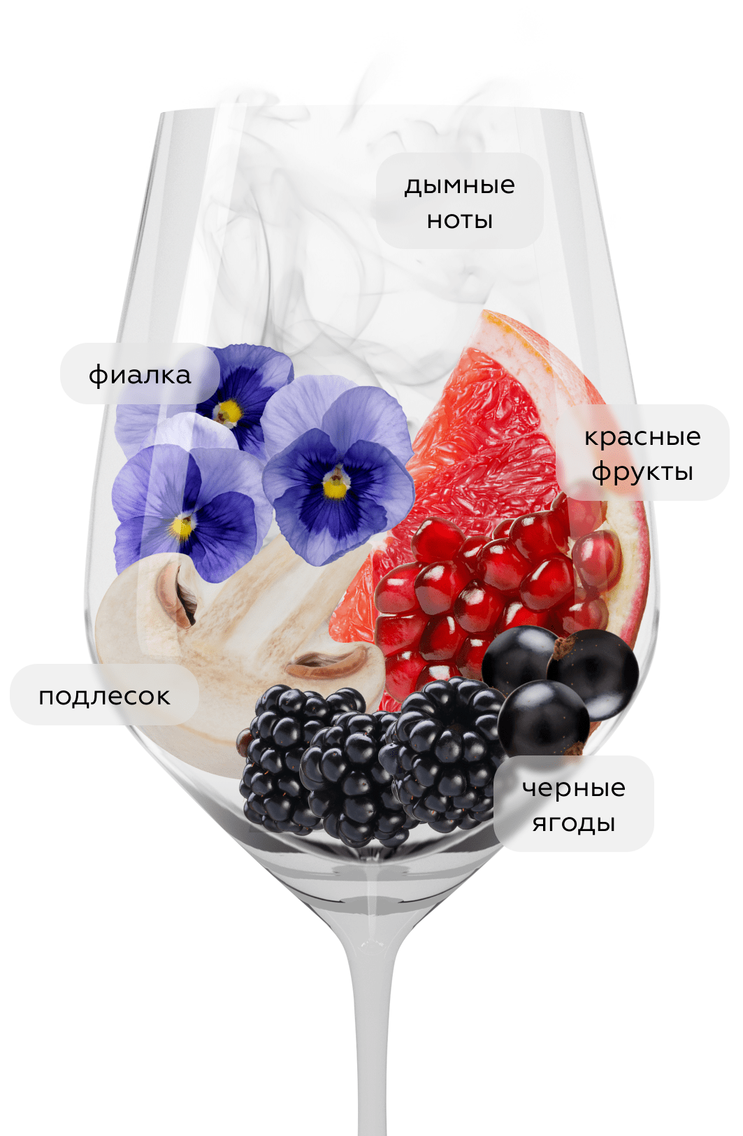 Вино Barbera d'Alba Tre Vigne, Vietti, 2022, (149124), Италия, Пьемонт, красное, сухое, 0.75 л, Барбера д'Альба Тревие, цена 6990 рублей