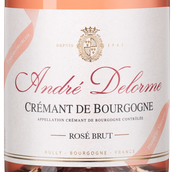 Шампанское и игристое вино Cremant de Bourgogne Brut Rose в подарочной упаковке