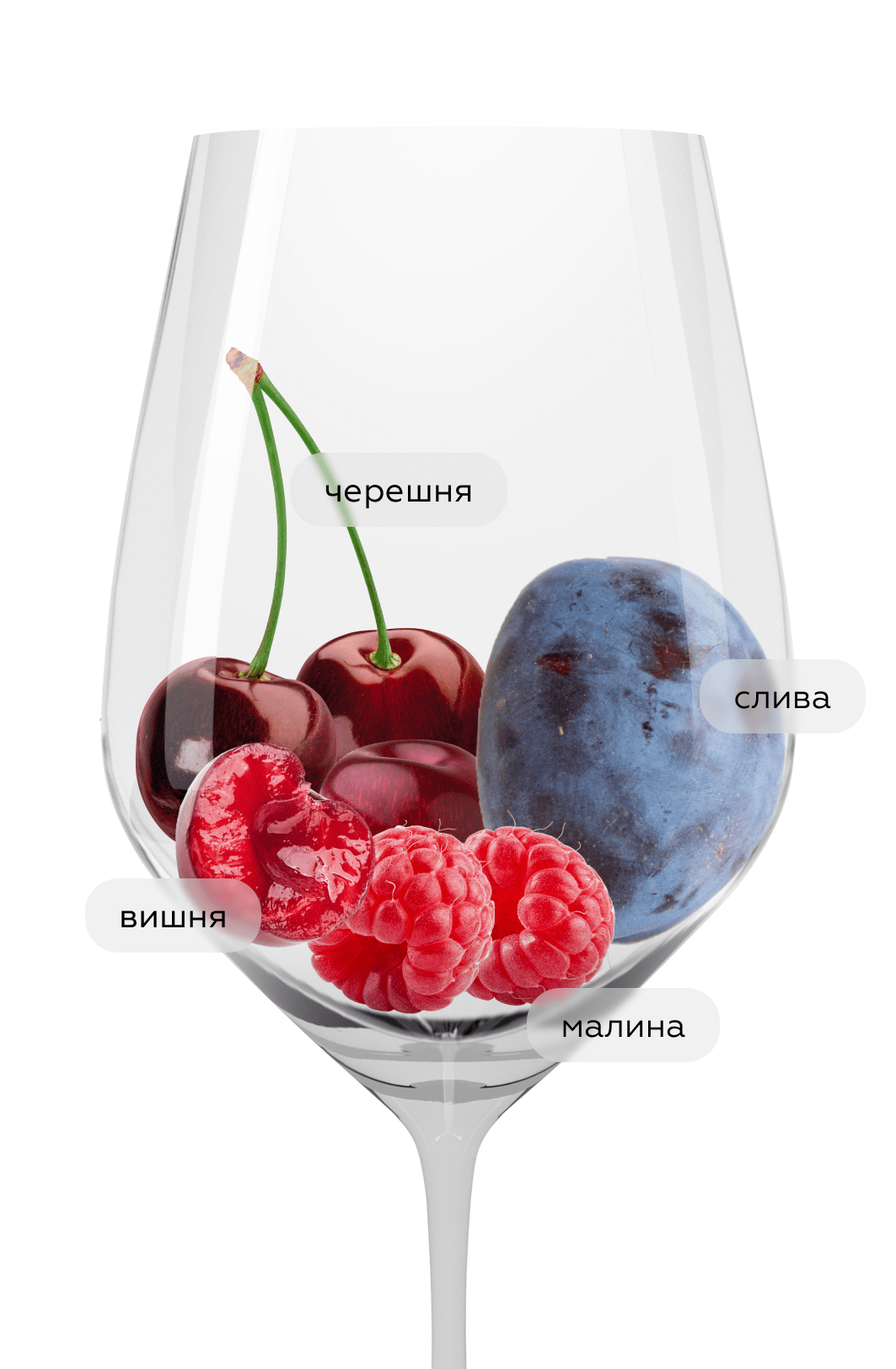 Шипучее вино Lambrusco dell'Emilia Solco, Paltrinieri, 2023, (148521), Италия, Эмилия-Романья, красное, сухое, 0.75 л, Ламбруско дель Эмилия Солько, цена 3990 рублей