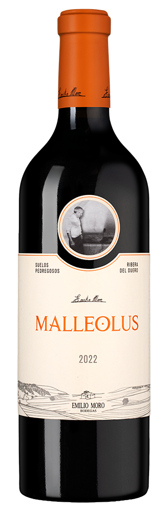 Вино Malleolus, Emilio Moro, 2022, (154245), Испания, Кастилия и Леон, красное, сухое, 0.75 л, Рибера дель Дуэро Мальеолус, цена 11990 рублей