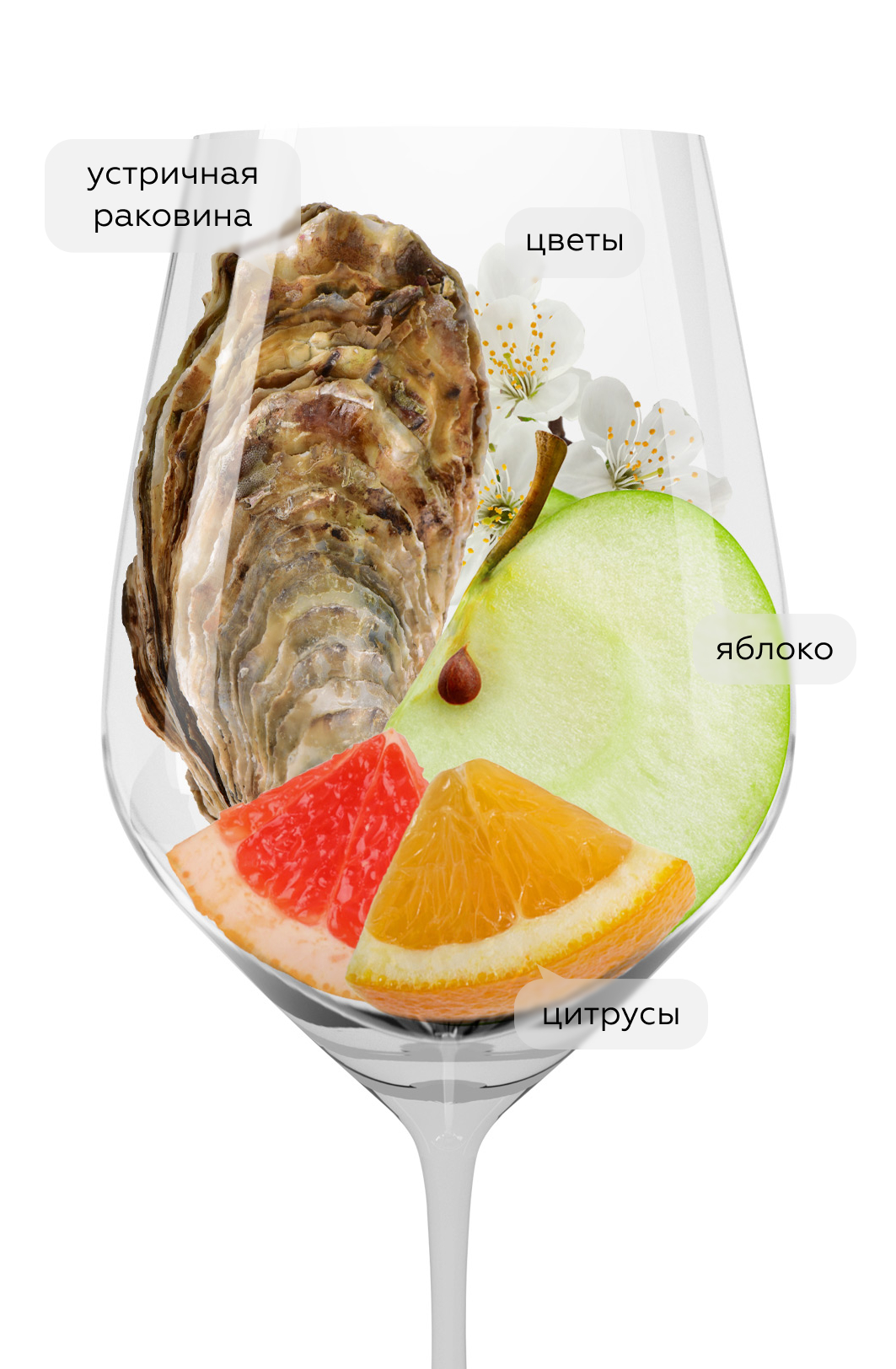 Вино Gruner Veltliner Classic, Winzer Krems, 2022, (143844), Австрия, Нижняя Австрия, белое, сухое, 0.75 л, Грюнер Вельтлинер Классик, цена 3190 рублей