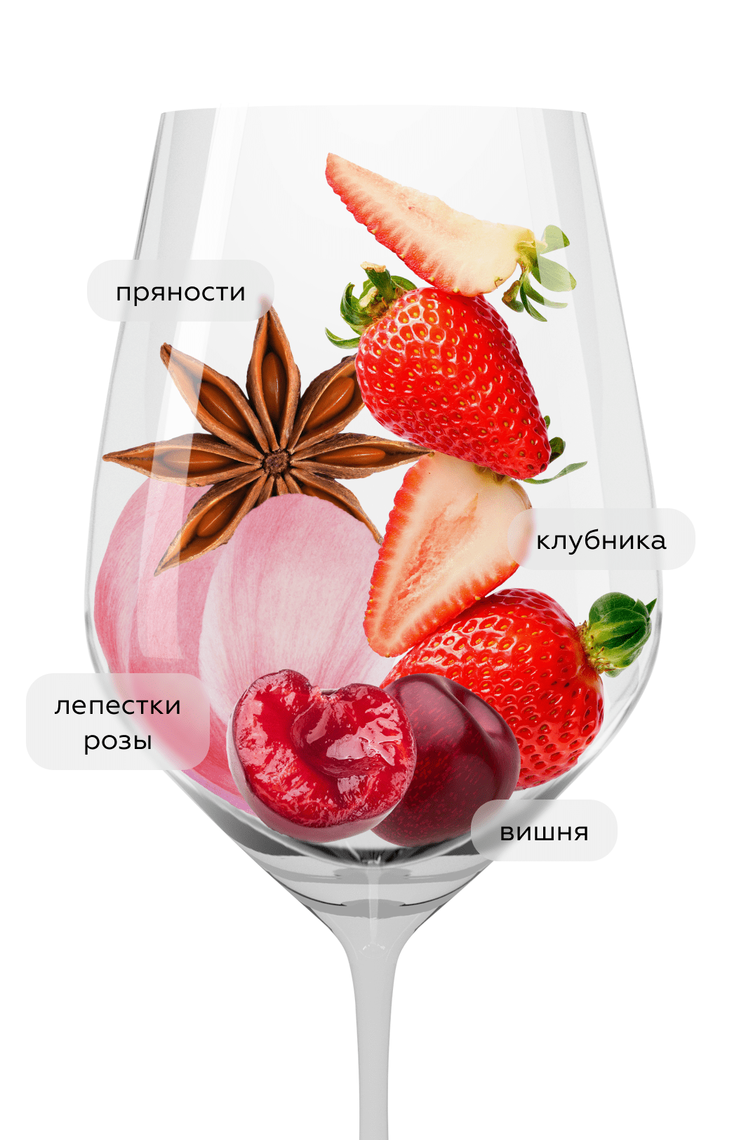 Вино Barolo, Mauro Molino, 2020, (147159), Италия, Пьемонт, красное, сухое, 0.75 л, Бароло, цена 9990 рублей