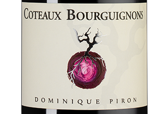 Вино Coteaux Bourguignons Rouge, (138355), красное сухое, 2020 г., 0.75 л, Кото Бургиньон Руж цена 2990 рублей