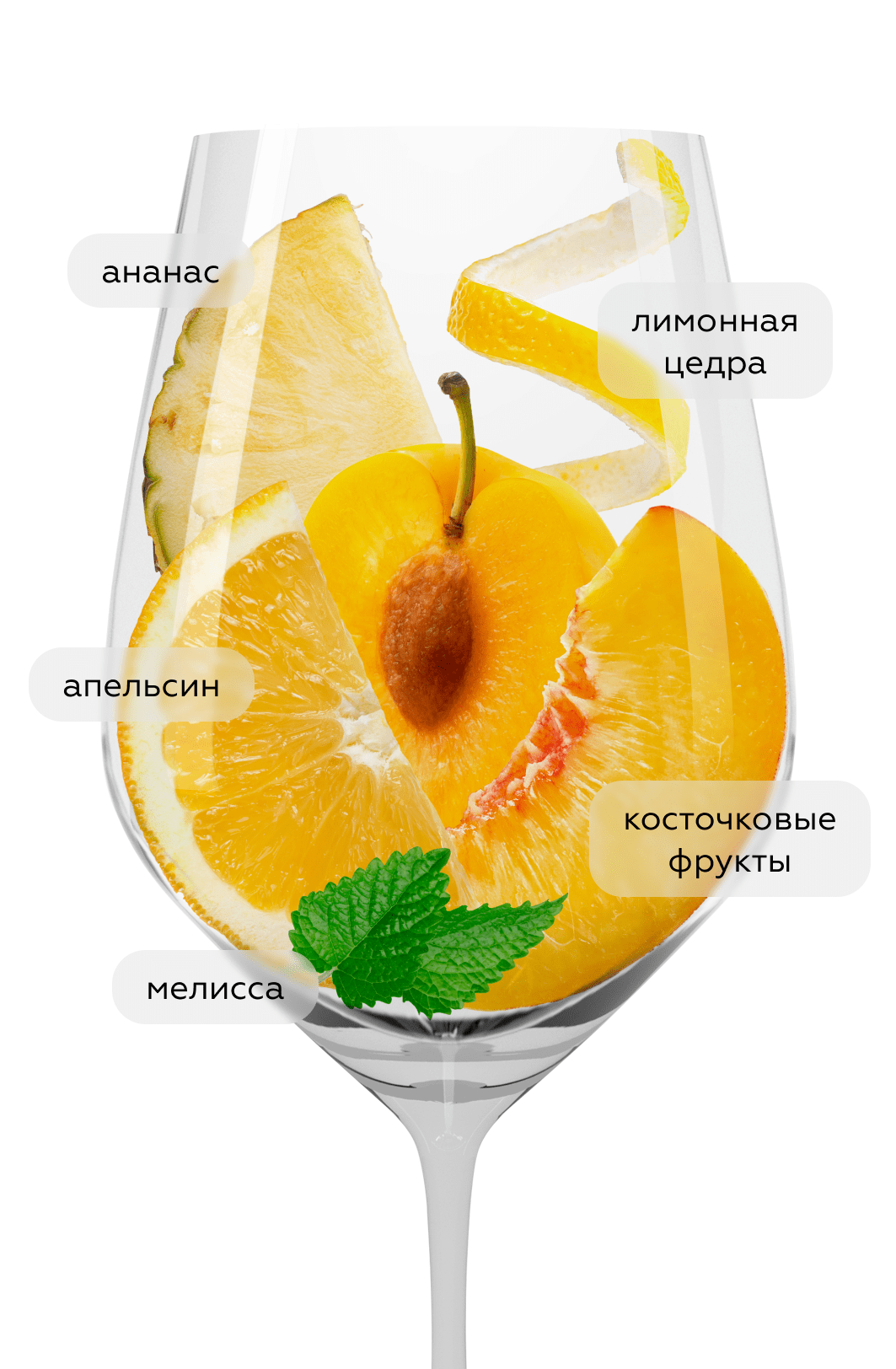 Вино Donauriesling, Winzer Krems, 2023, (147269), Австрия, Нижняя Австрия, белое, сухое, 0.75 л, Донаурислинг, цена 3990 рублей