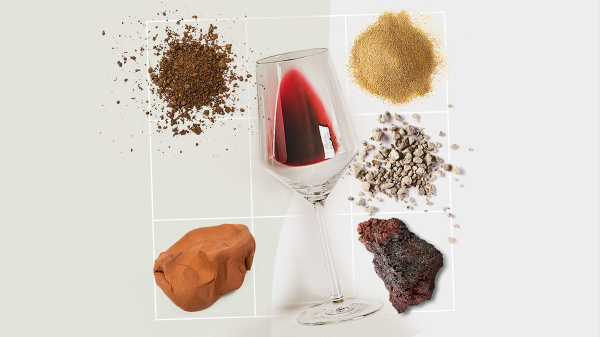 Галька в бокале: как почва влияет на вкус вина и его стоимость