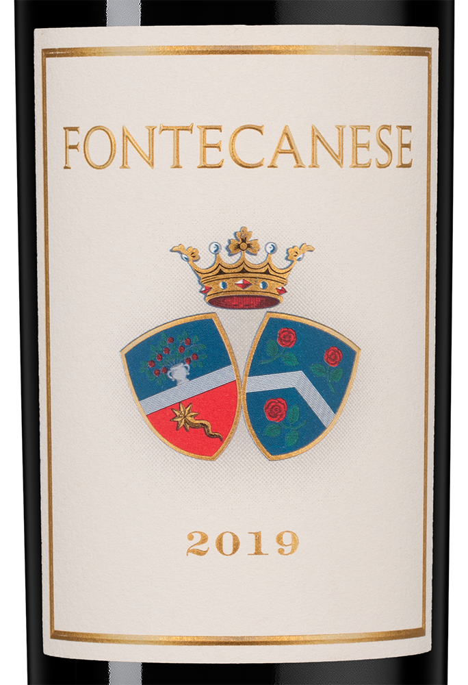 Вино Fontecanese, Castello di Montepo di Jacopo Biondi Santi, 2019, (147396), Италия, Тоскана, красное, сухое, 0.75 л, Фонтеканезе, цена 29990 рублей