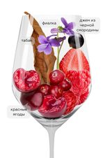 Вино Каберне Фран, (110264), красное сухое, 2018 г., 0.75 л, Каберне Фран цена 2490 рублей