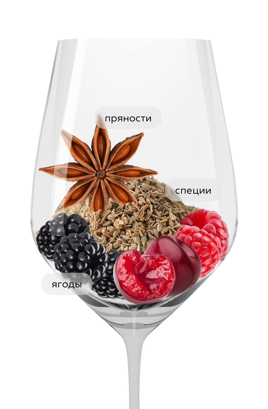 Вино Davne Vineyards Spirits Tempranillo, Bodegas Manzanos, 2022, (147199), Испания, Наварра, красное, сухое, 0.75 л, Дафне Темпранильо, цена 1790 рублей