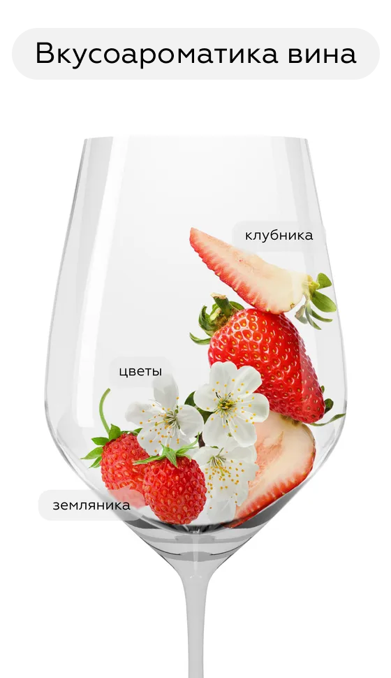 Игристое вино Bruni Prosecco Rose Brut, 2024, (154887), Италия, Венето, розовое, брют, 0.75 л, Просекко Розе, цена 1990 рублей