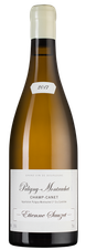 Вино Puligny-Montrachet Premier Cru Champ Canet, (120208), белое сухое, 2017 г., 0.75 л, Пюлиньи-Монраше Премье Крю Шам Кане цена 27990 рублей