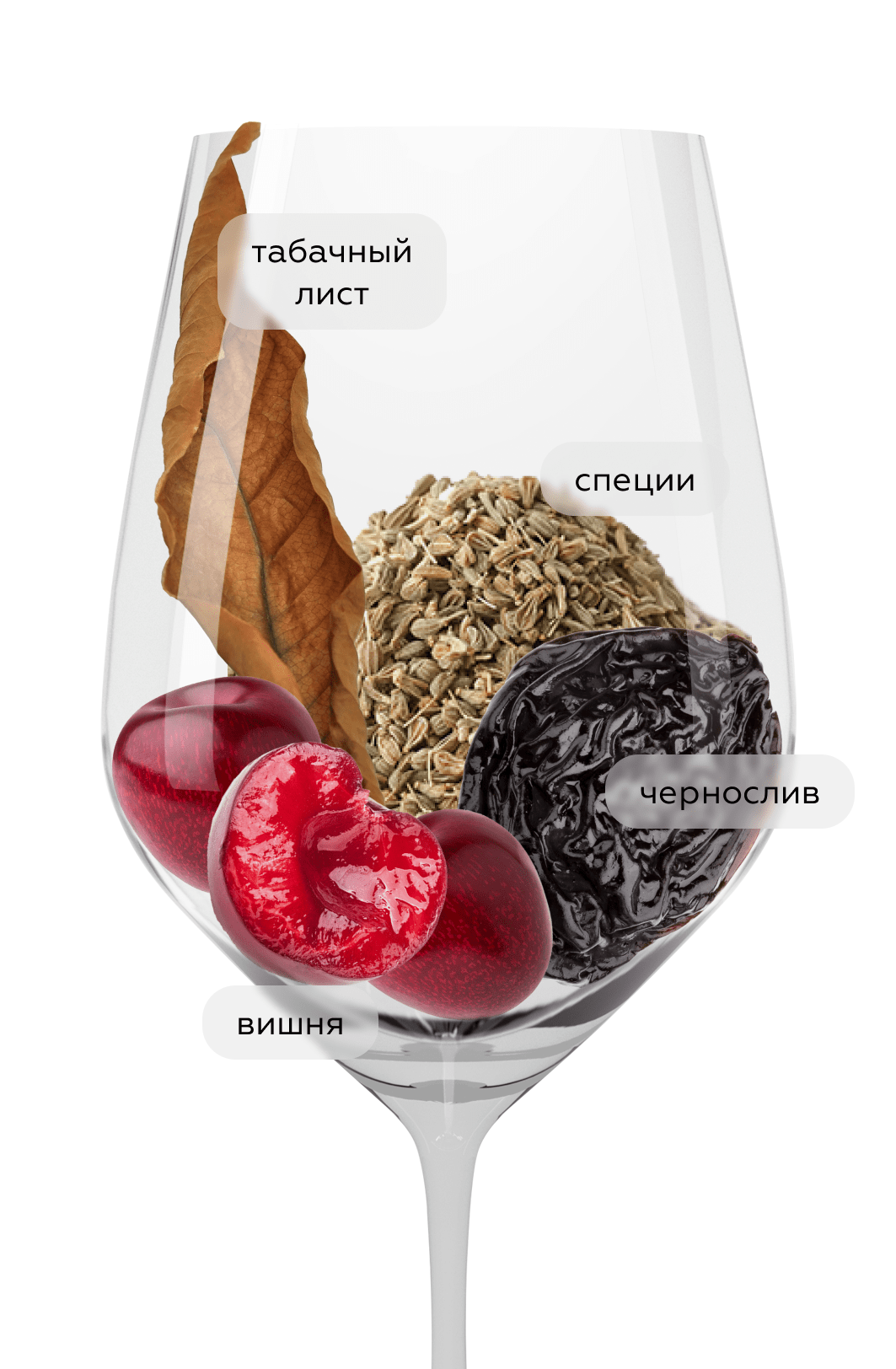 Вино Vino Nobile di Montepulciano Silineo, Fattoria del Cerro, 2020, (147174), Италия, Тоскана, красное, сухое, 0.75 л, Вино Нобиле ди Монтепульчано Силинео, цена 4990 рублей