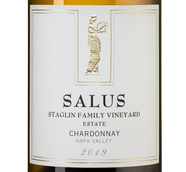 Вино с вкусом белых фруктов Chardonnay Salus