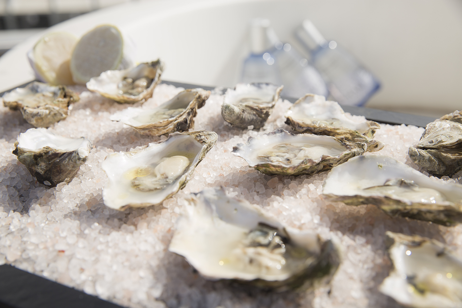 Джин Gin Mare, 0.05л, (127367), Испания, 0.05 л, Джин Маре, цена 640 рублей