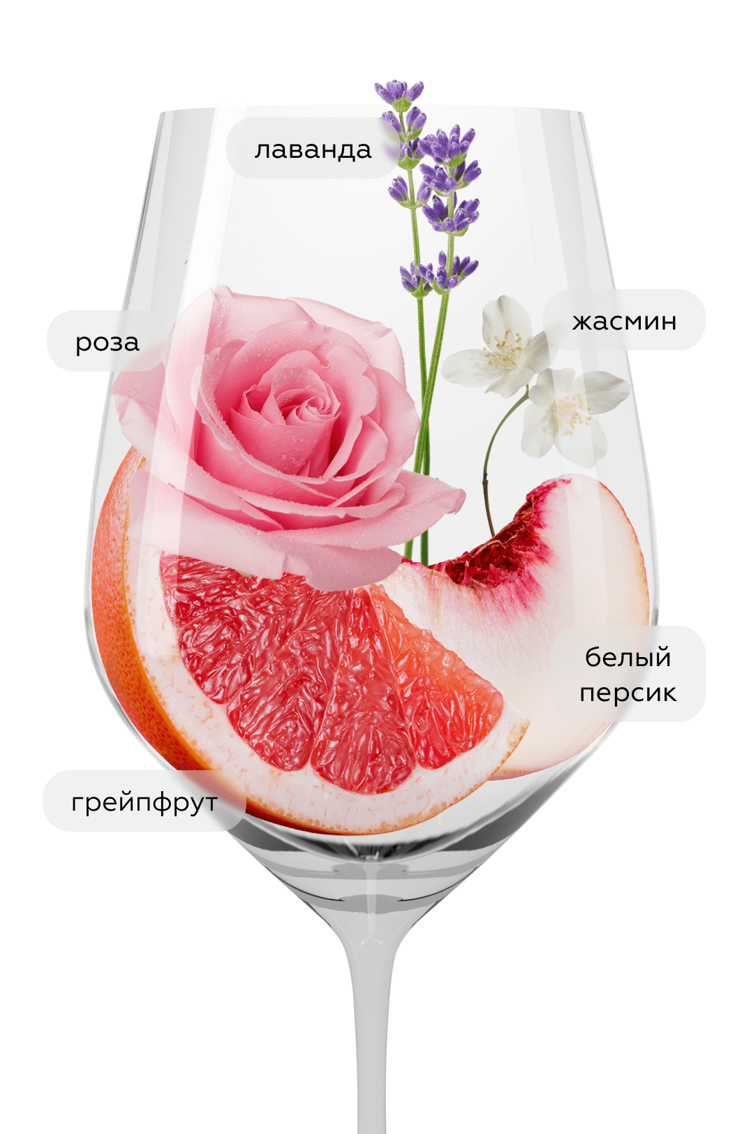 Вино Torrontes La Linda, Luigi Bosca, 2025, (157333), Аргентина, Мендоса, белое, сухое, 0.75 л, Торронтес Ла Линда, цена 1990 рублей