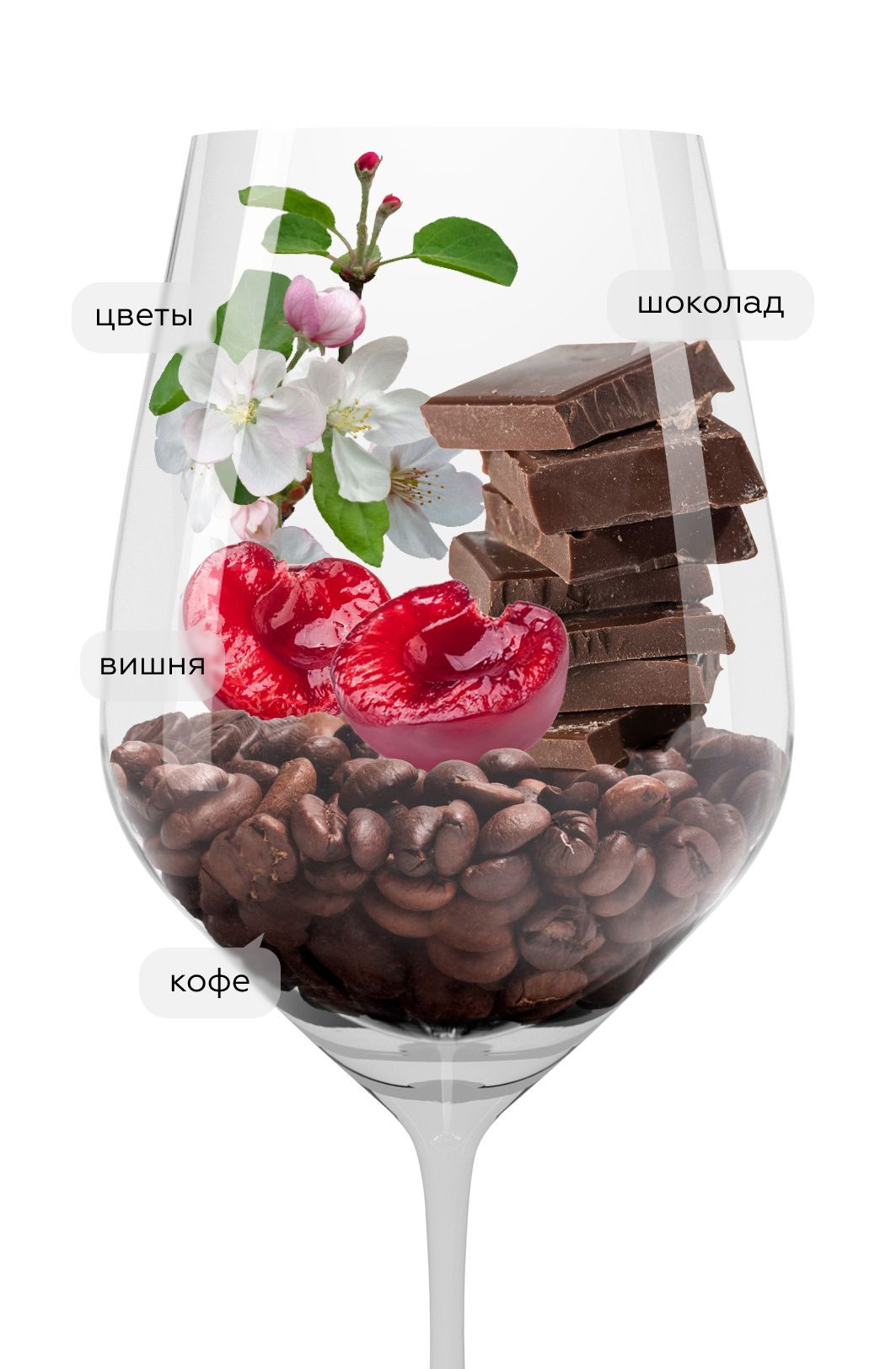 Вино Malleolus в подарочной упаковке, Emilio Moro, 2020, (140737), Испания, Кастилия и Леон, красное, сухое, 0.75 л, Рибера дель Дуэро Мальеолус, цена 13490 рублей