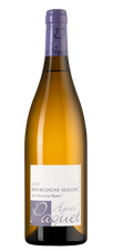 Вино Bourgogne Aligote Le Clou et la Plume, (140006), белое сухое, 2020 г., 0.75 л, Бургонь Алиготе Ле Клу э ла Плюм цена 6190 рублей