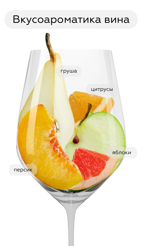 Игристое вино Hans Baer Riesling Sekt в подарочной упаковке, Weinkellerei Hechtsheim, (157933), Германия, Рейнгессен, белое, сухое, 0.75 л, Ханс Баер Рислинг Зект, цена 2290 рублей