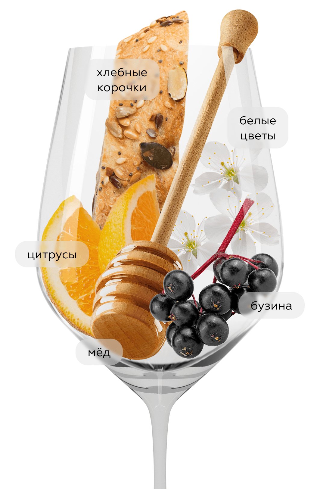 Игристое вино Cremant de Bourgogne, Domaine Agnes Paquet, (157716), Франция, Бургундия, белое, экстра брют, 0.75 л, Креман де Бургонь, цена 7290 рублей