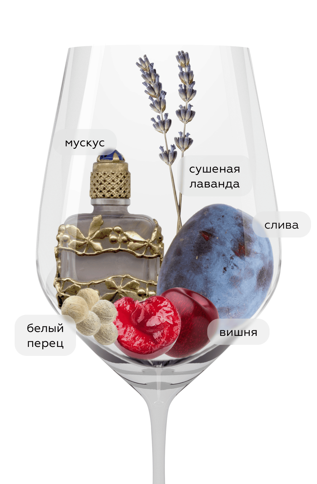 Вино Elpidios, David & Nadia, 2020, (141103), Южная Африка, Свортленд, красное, сухое, 0.75 л, Эльпидиос, цена 7990 рублей