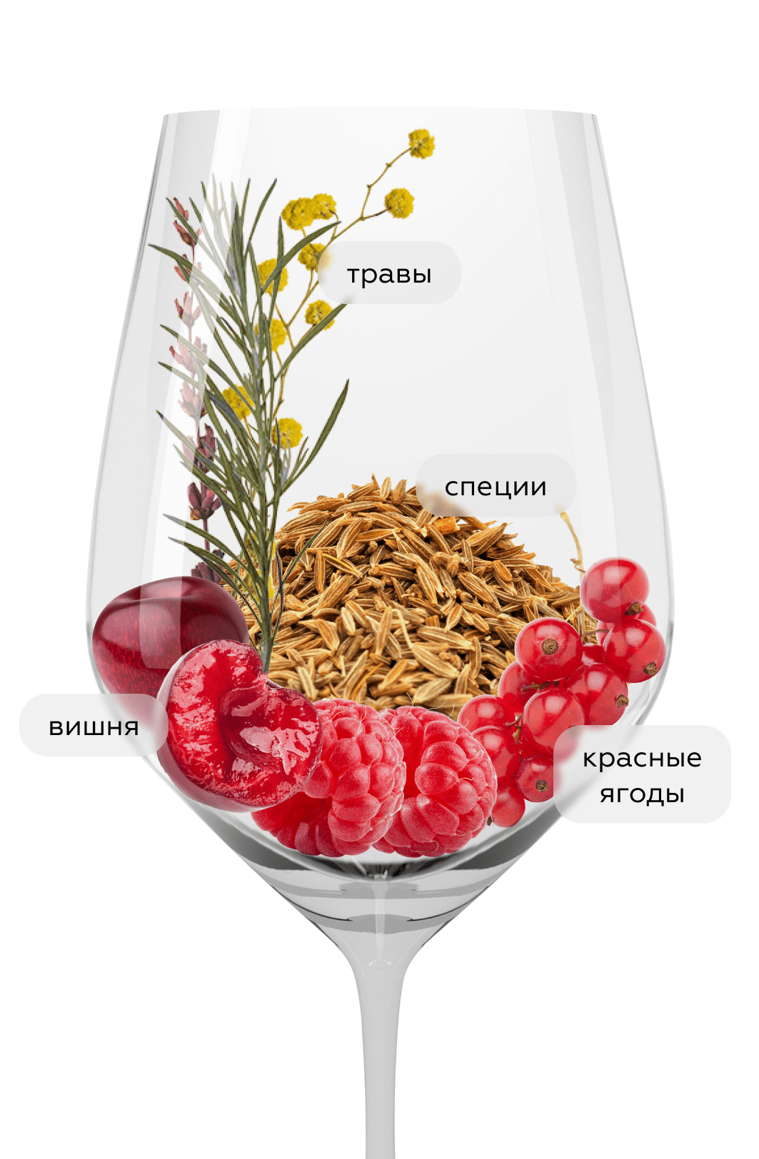 Вино Rok Rosso, Pradio, 2020, (146996), Италия, Фриули-Венеция-Джулия, красное, сухое, 0.75 л, Рок Россо, цена 2990 рублей