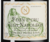 Вина в бутылках 1,5 л Fixin Premier Cru Clos Napoleon