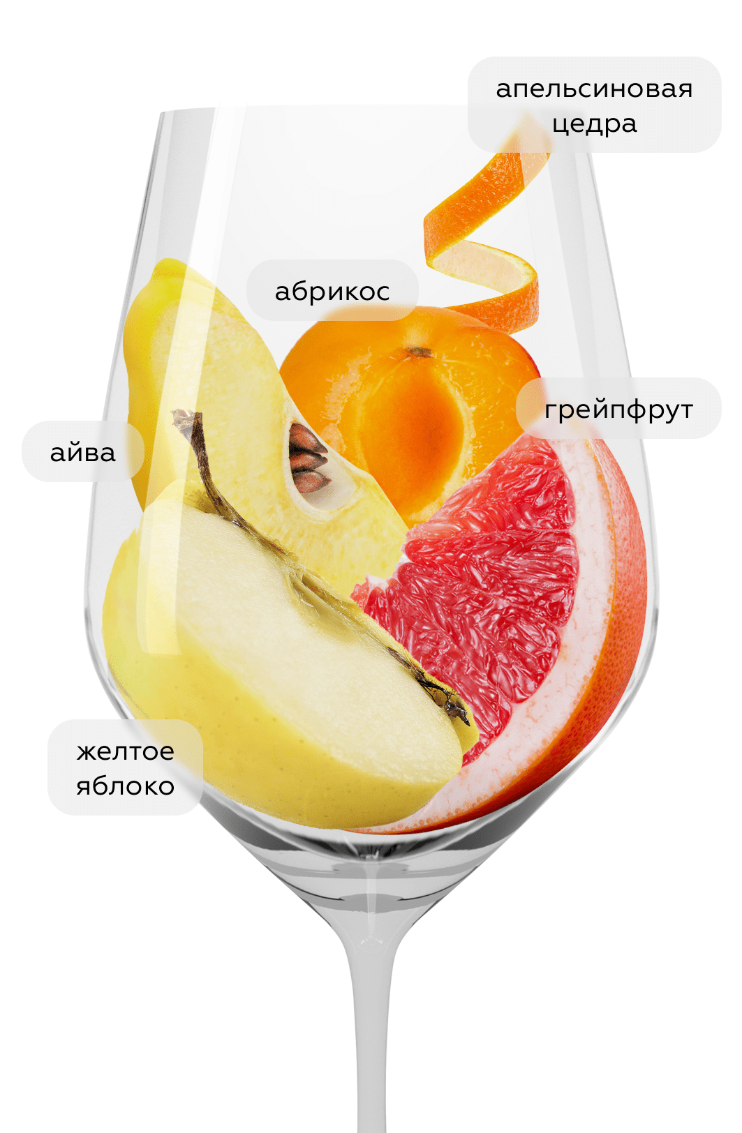 Вино Florissima Muskateller, GCF, 2023, (149494), Германия, Пфальц, белое, полусухое, 0.75 л, Мускателлер Флориссима Трокен, цена 2140 рублей