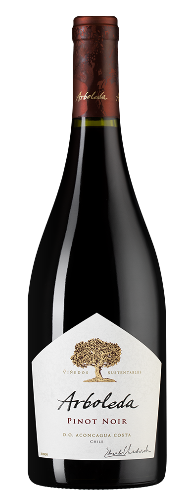 Вино Pinot Noir, Vina Arboleda, 2023, (156404), Чили, Аконкагуа, красное, сухое, 0.75 л, Пино Нуар, цена 5490 рублей