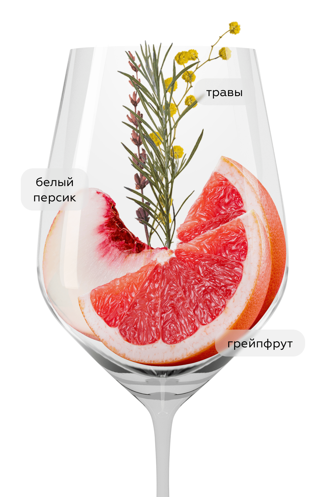 Вино SurSur Grillo, Donnafugata, 2024, (158261), Италия, Сицилия, белое, сухое, 0.75 л, СурСур Грилло, цена 5490 рублей