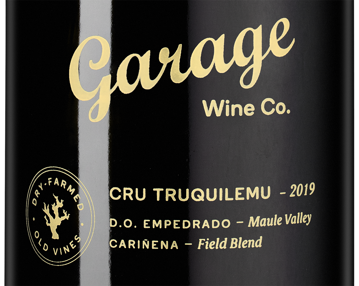 Вино Cru Truquilemu Carinena, Garage Wine, 2019, (141884), Чили, Центральная Долина, красное, сухое, 0.75 л, Крю Трукилему Кариньена, цена 19990 рублей