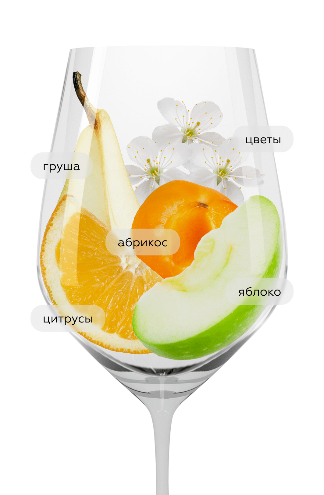 Вино безалкогольное Hans Baer Riesling, Low Alcohol, 0,5%, Weinkellerei Hechtsheim, (152349), Германия, Рейнгессен, 0.75 л, Ханс Баер Рислинг Безалкогольное, цена 1440 рублей