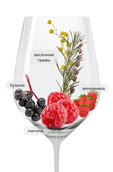 Pinot Noir Rose