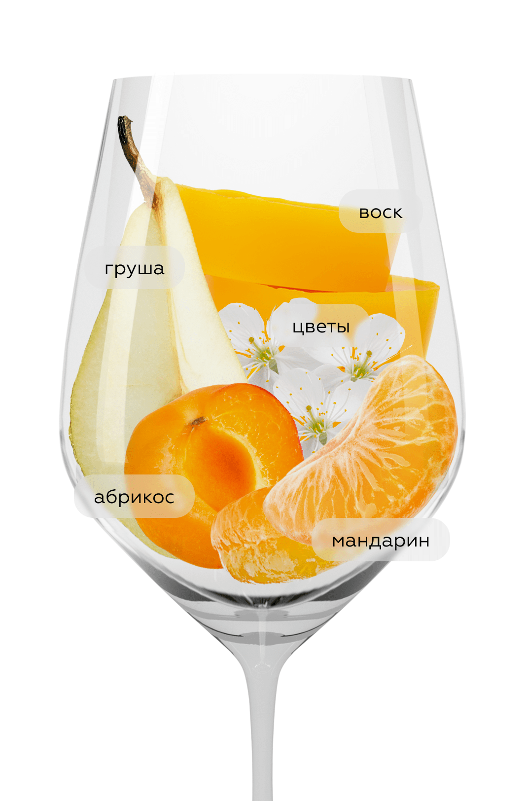 Вино 9 Lives Inspiring Riesling Reserve, Vina San Pedro, 2025, (155503), Чили, Центральная Долина, белое, сухое, 0.75 л, 9 Лайвс Инспайринг Рислинг Резерв, цена 1790 рублей